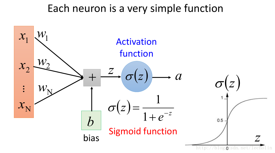 neuron