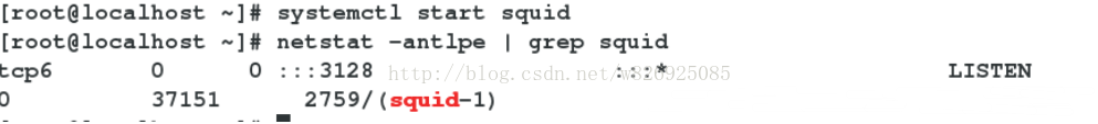 
			
				Linux 正向代理和反向代理			