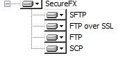 SecureFX