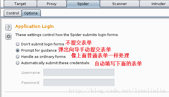 Spider Options Application Login