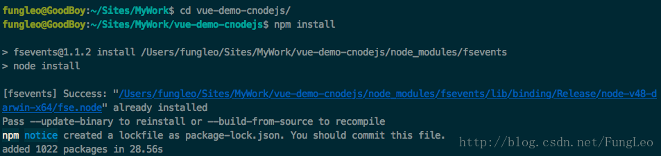npm install