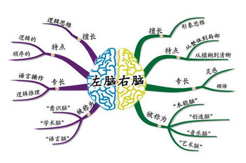 思维导图也是这样,我们可以运用思维导图去进行思维发散,衍生出更多的