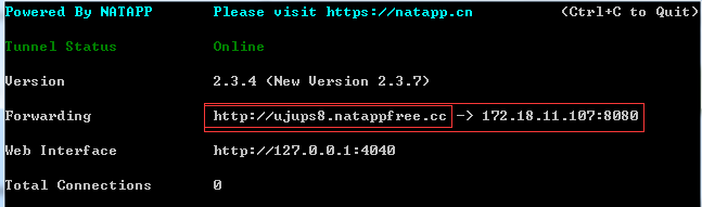 NATAPP-一个提供可供外网环境访问内网环境URL的通道工具