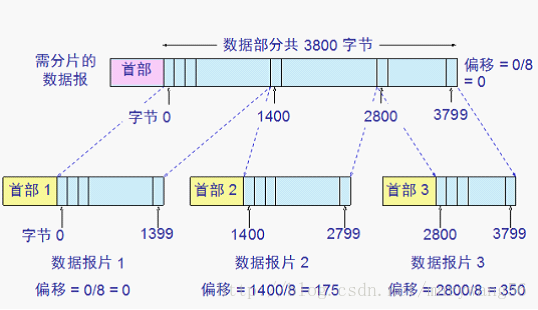 IP 协议帧格式