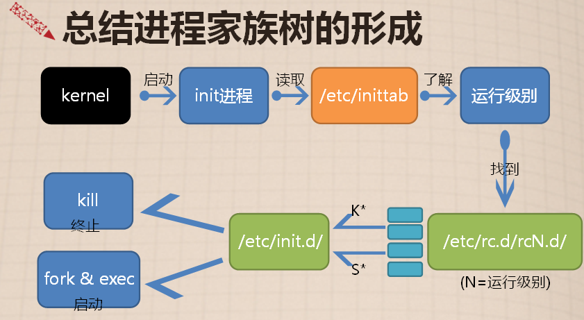 进程家族树怎么画图片