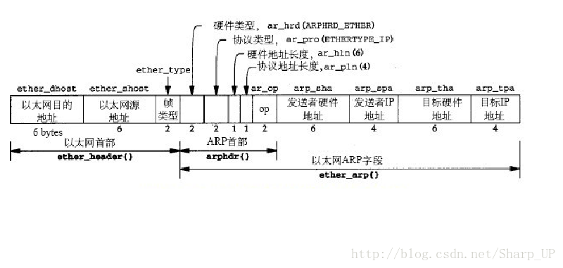 ＡＲＰ报文