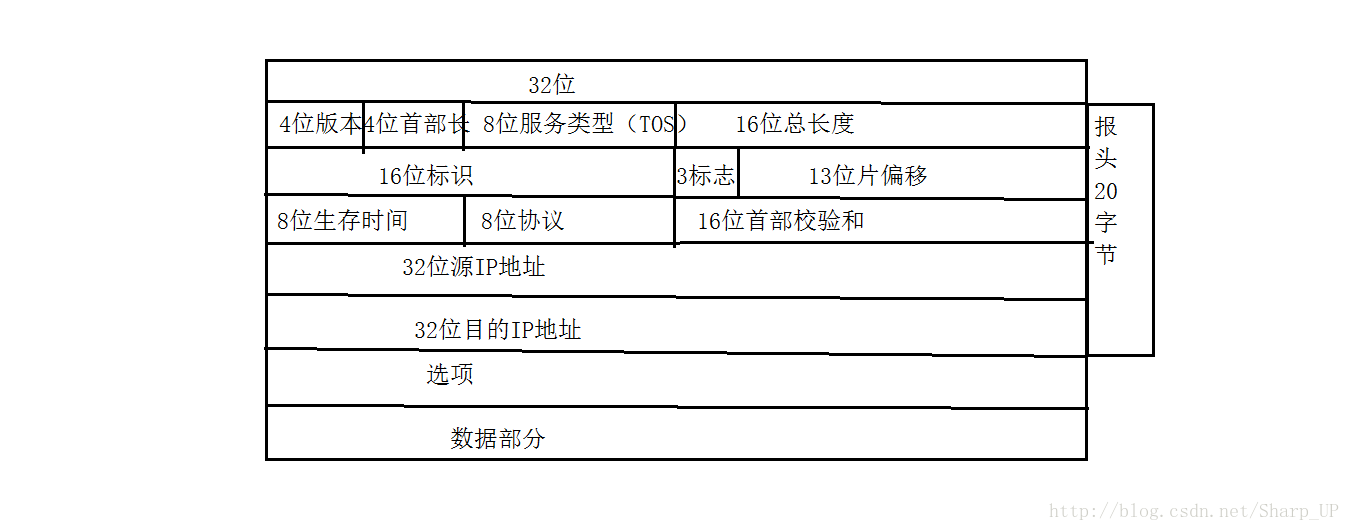 IP协议报文