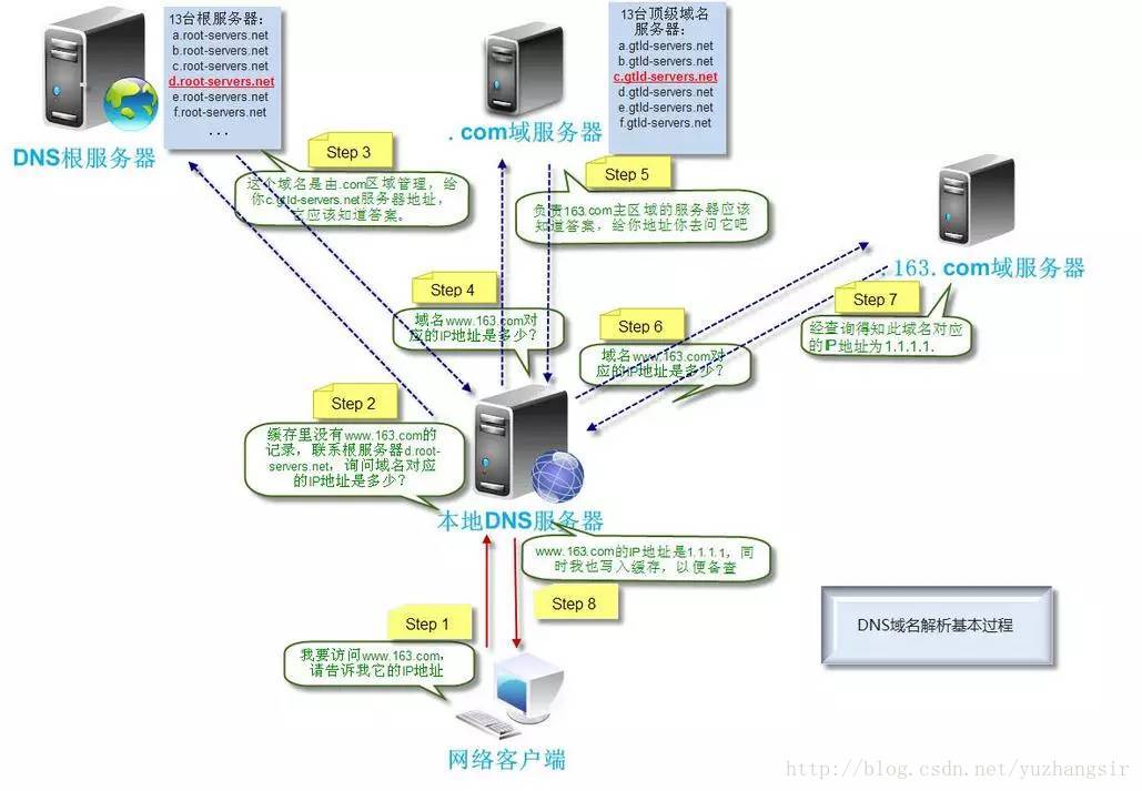 浏览器查询域名的IP