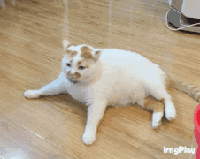 20171009171600791