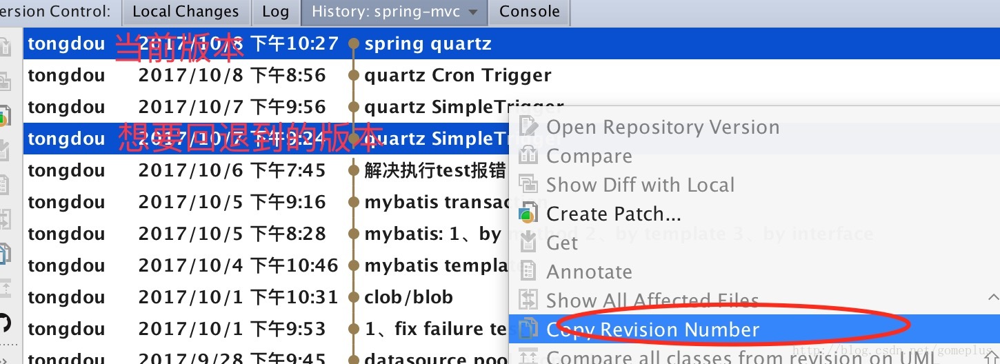 Copy Revision Number