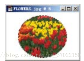 这里写图片描述