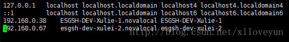 如图有几个节点就配置几个节点。格式为：ip地址   FQDN（Fully Qualified Domain Name，命令hostname可以获取）   域名