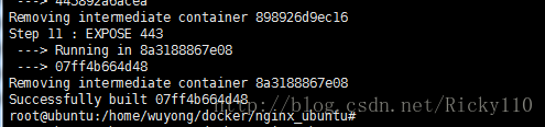 create_nginx_success