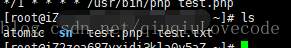 test.php是用來執行的php檔案，test.txt檢視執行有木有成功