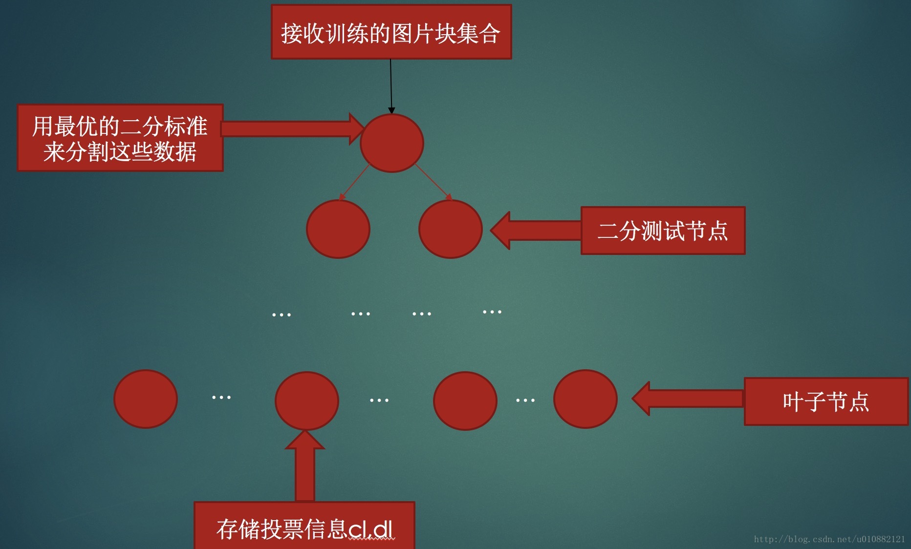 树的结构