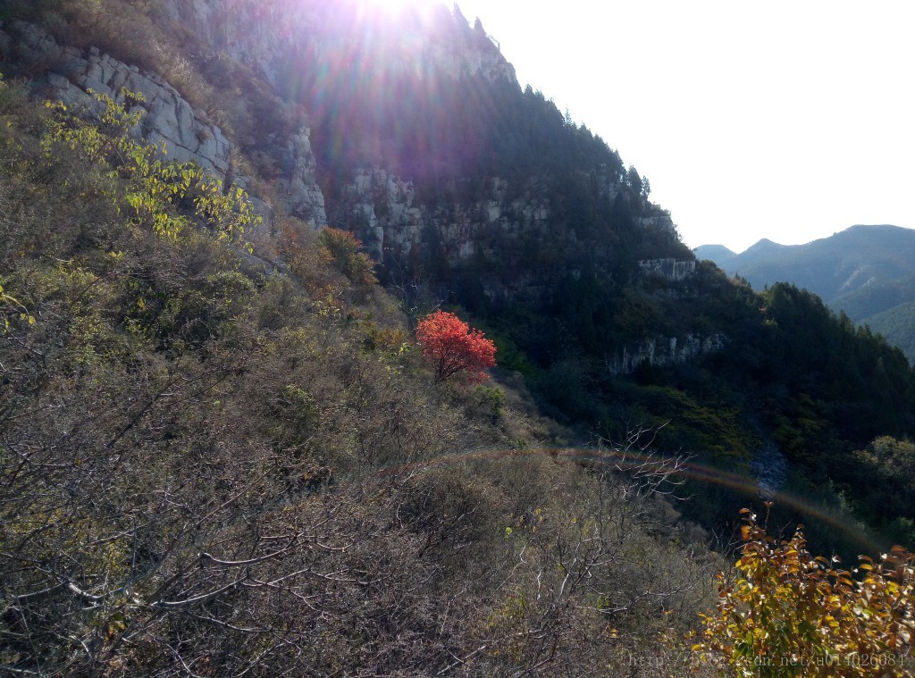 上山的路