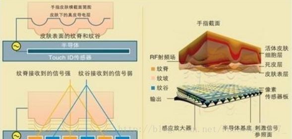 这里写图片描述