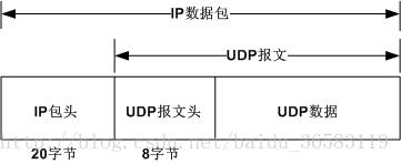 IP数据包与UDP报文的关系