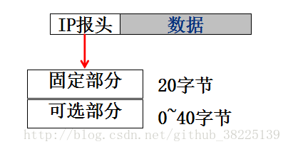 IPV4  whole struct