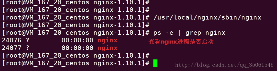 nginx