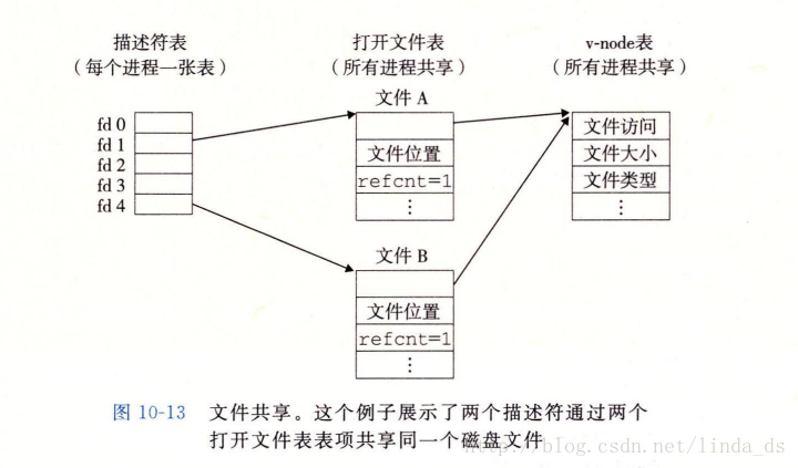 文件共享