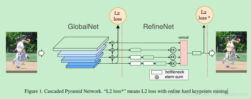 CPN网路结构