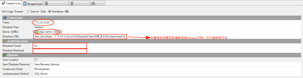 dbvisualizer 使用Database URL链接Sybase数据库方式