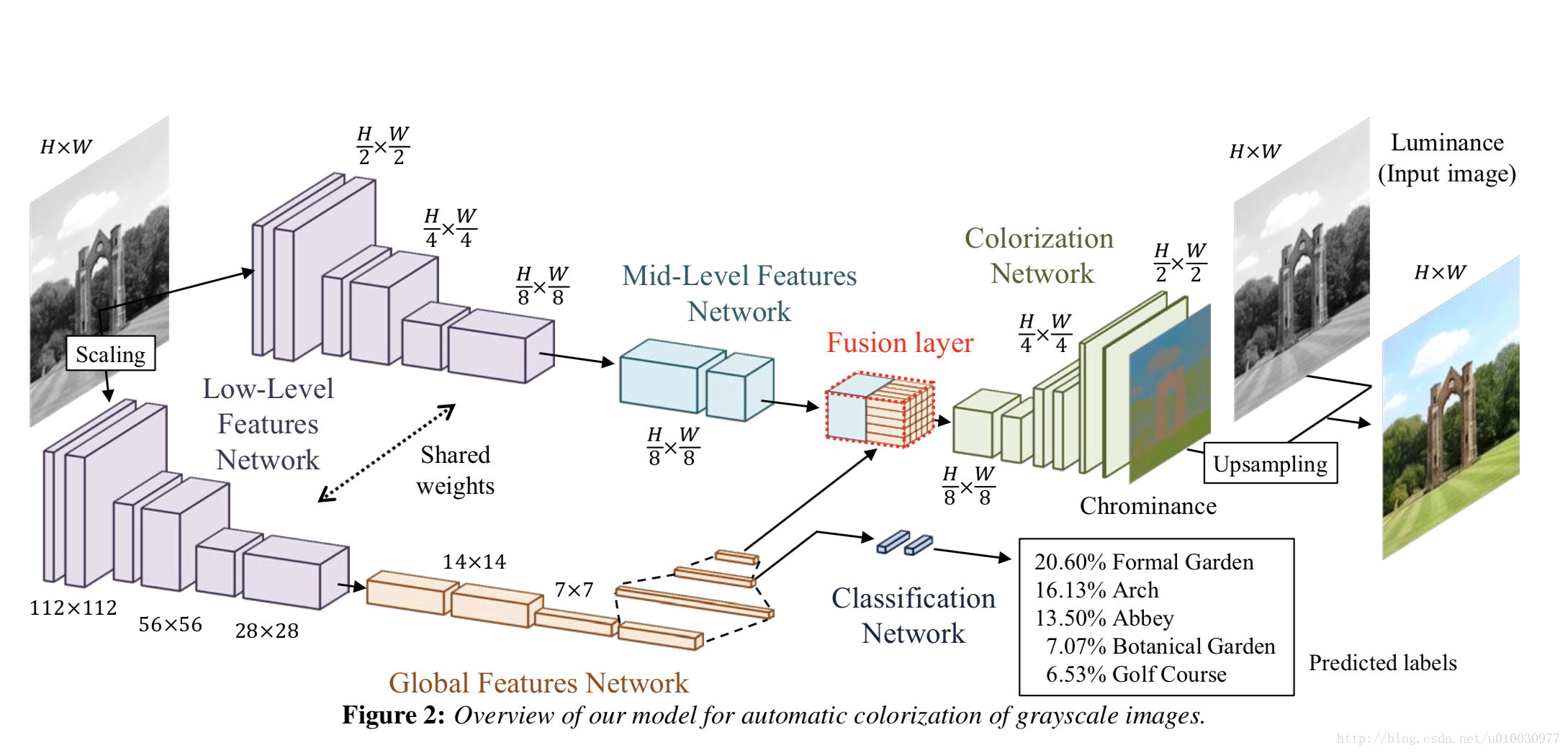 Масштабирование scale. Архитектура CNN with 5 output layer. Image scaling таблица. Local and Global Networks. End to end Neural Networks.