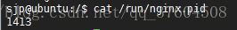 Nginx进程pid