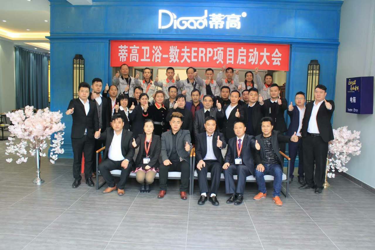 蒂高卫浴-数夫F19家具ERP项目是送给企业10周年庆最好的礼物