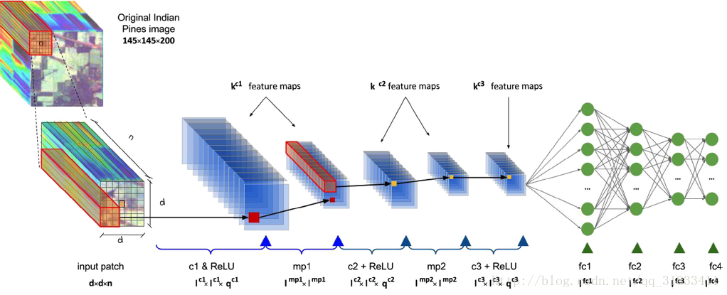 Net structure from this paper