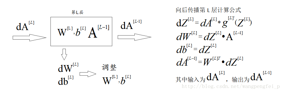 反向传播