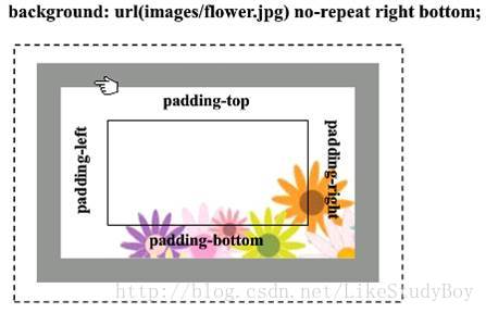padding组成结构图片