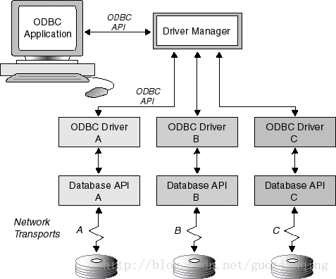 La composición del módulo ODBC