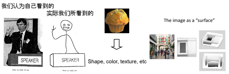 image structure pic 1