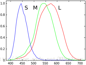 人类(S, M 和 L 类型的)锥状细胞对单色光谱刺激的规范化典型反应