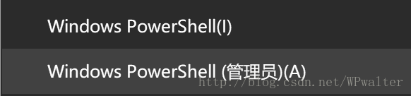 以管理员权限启动 PowerShell