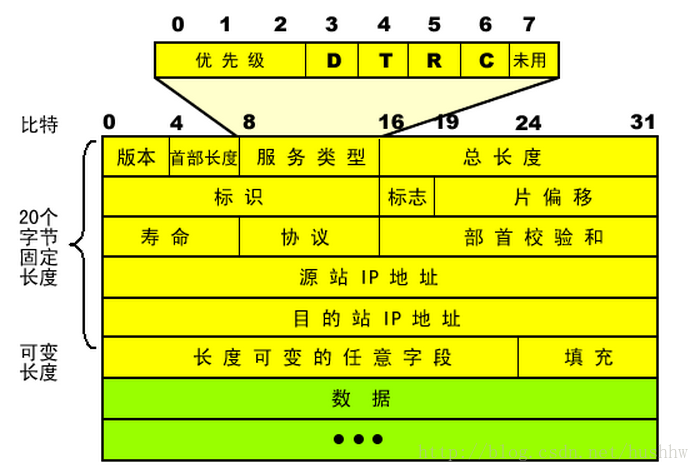 图片来源网络