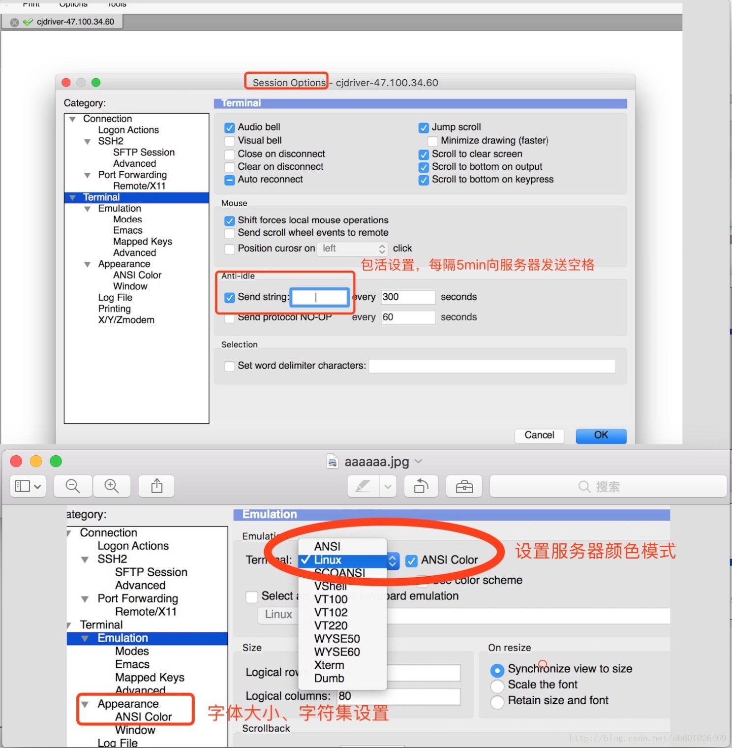 secureCRT设置session、颜色模式、字符集