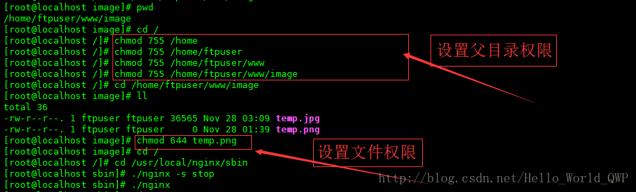 Linux系统搭建的网站出现 403 Forbidden 错误的解决办法（亲测可行）