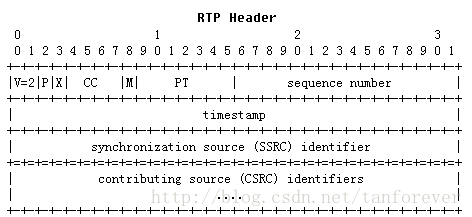 RTP基础之RTP流预判代码实战