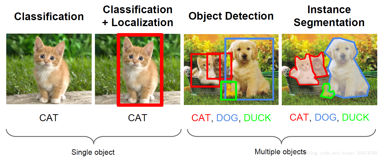 detection