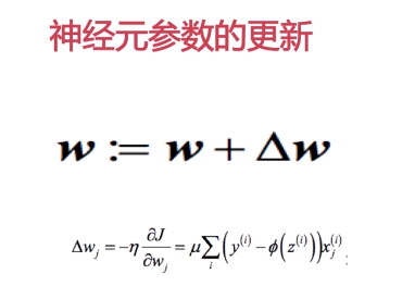 神经元参数更新