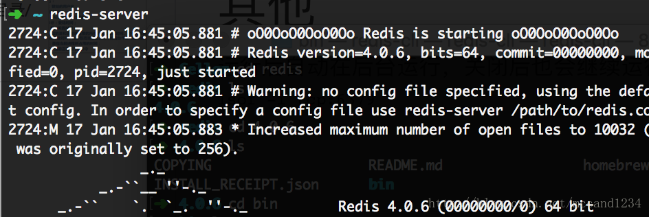 Brew start redis