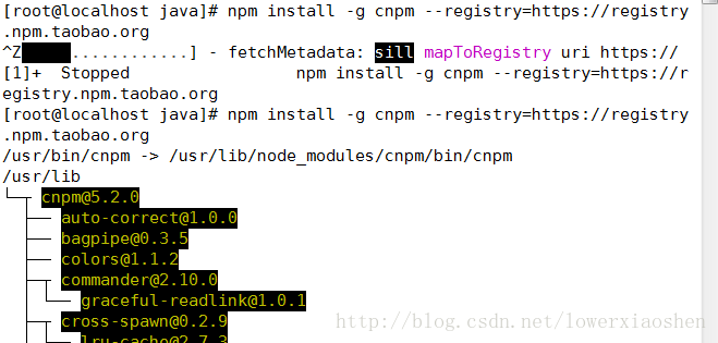 Linux npm что это