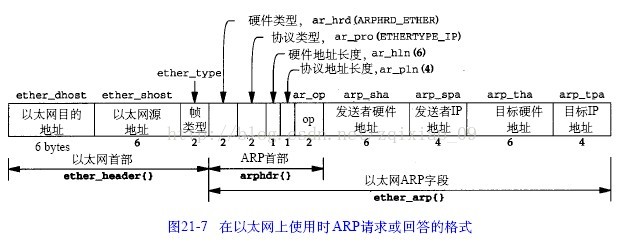 TCP，IP，UDP等各种报文格式