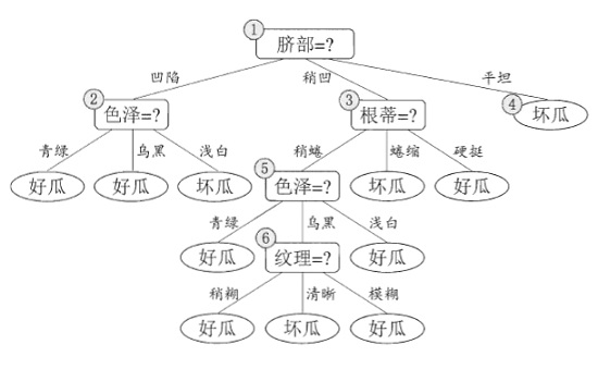 未剪枝的决策树