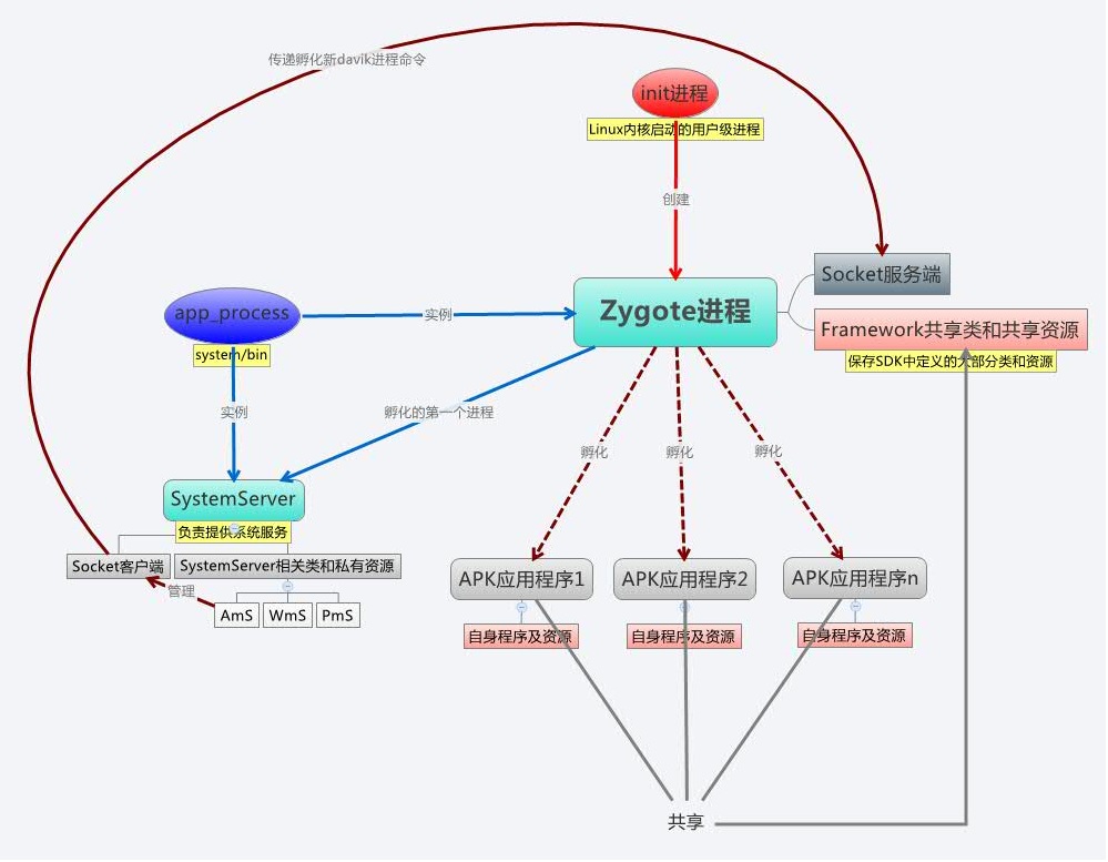 zygote是什么