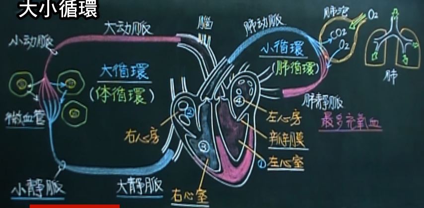 figure1