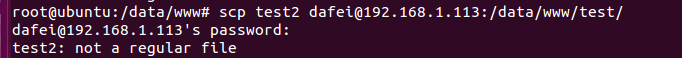 Not a regular file scp что